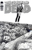 The Walking Dead # 100  B&W Sketch Variant and more NM /  DEATH OF GLENN ! 1st NEGAN